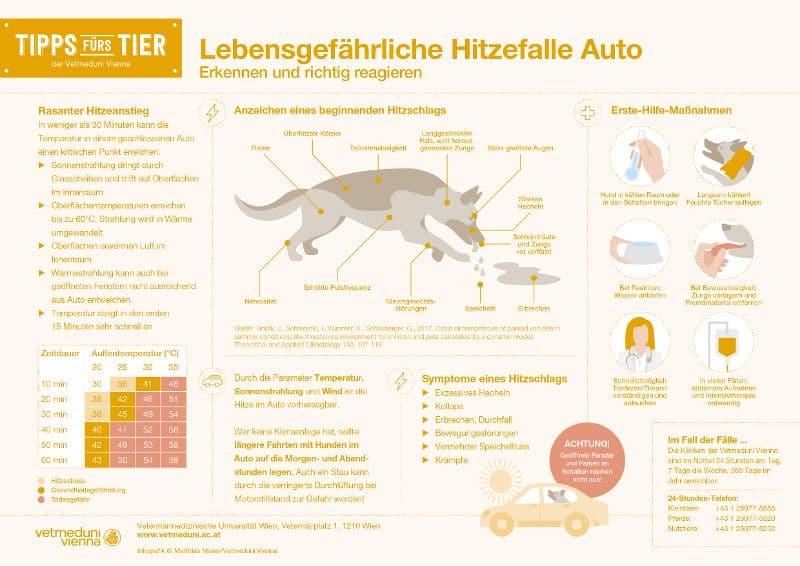 Infografik_hitze_hund