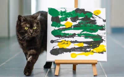 Katzen-Kunst: Im TierQuarTier Wien geht’s bunt zu!
